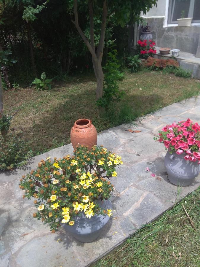 Sofia'S Cottage 艾斯普罗瓦塔 外观 照片