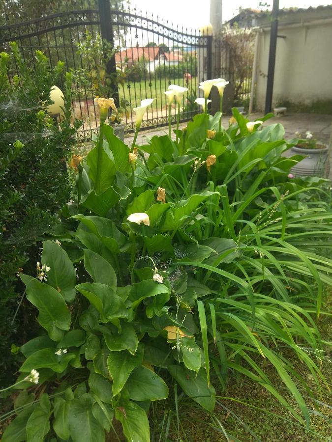 Sofia'S Cottage 艾斯普罗瓦塔 外观 照片