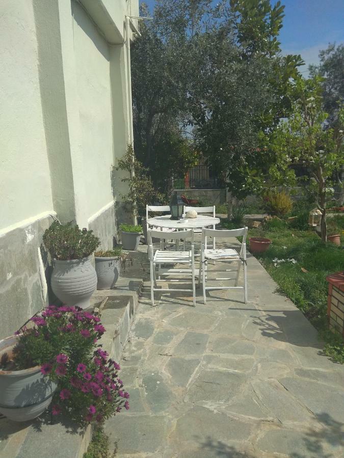 Sofia'S Cottage 艾斯普罗瓦塔 外观 照片